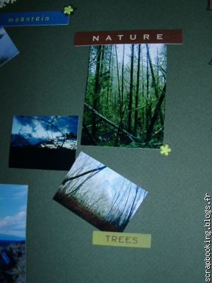 autocollants "mountain","natur e"...+attaches parisiennes en fleur